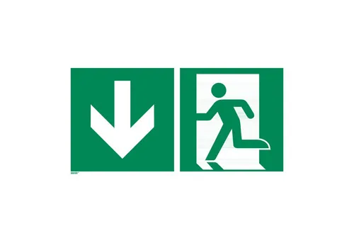 Notausgang abwärts Schild, langnachleuchtend 600 x 300 mm - Sicherheitsschilder für klare Kennzeichnung von Notausgängen, hochwertiges Hart-PVC, ideal für Innen- und eingeschränkten Außeneinsatz.