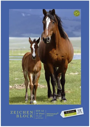 Zeichenblock perforiert - A2, 10 Blatt, 100 g/qm, sortiert, 1 St.