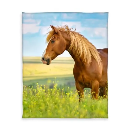 Herding Young Collection Fleece-Kuscheldecke, Pferde Motiv, 130 x 160 cm, Polyester