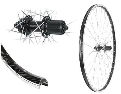 Bärwinkels 28 Zoll Hinterrad Hohlkammerfelge Shimano Industrielager schwarz 8,9,10 Fach V-Brake 622-19 Disk Centerlock