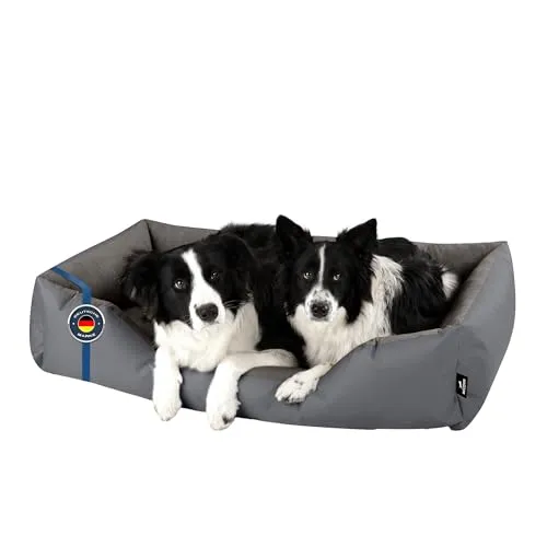 BedDog Hundebett Zara XXXL - Ergonomisches Hundebett aus robustem Cordura mit abnehmbarem, waschbarem Bezug. Hoher Komfort und Gelenkschonung für große Hunde - ideal für drinnen und draußen.