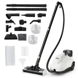 COSTWAY Dampfreiniger 2000W