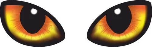 Hermann Schütz Aufkleber Augen 2er-Set rechts/links je 50x75mm  Aufkleber