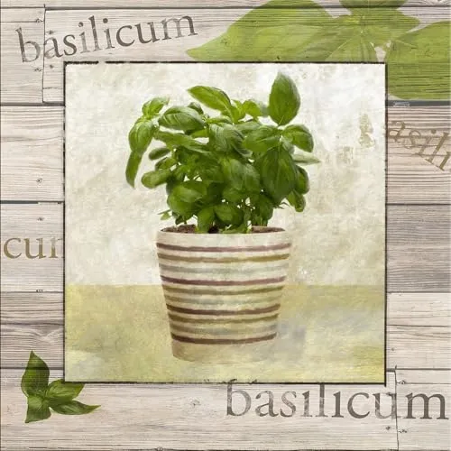 artissimo, Dekopanel, Deco Panel, ca. 30x30cm, PE6332-PA, Kräuter: Basilikum, Bild, Wandbild, Poster auf Decopanel, Küche, Küchenbild, Kräutertöpfe