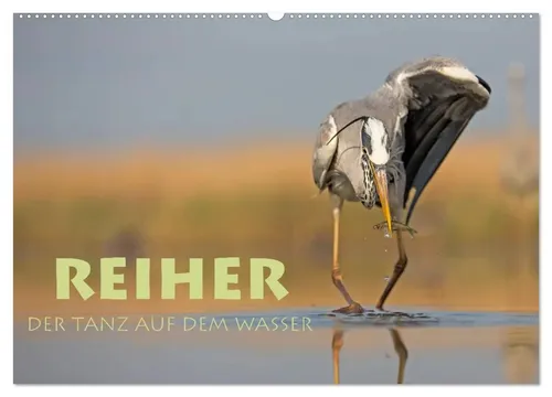 Stephan Peyer | Reiher - Der Tanz auf dem Wasser 2026 - Kalender mit 14 Seiten, präsentiert beeindruckende Bilder von Grau-, Silber- und Nachtreihern, ideal für Natur- und Tierliebhaber.