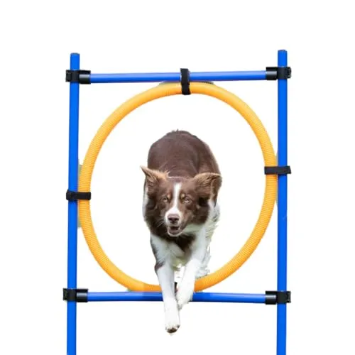 Trixie Agility Ring, 115×ø 3 cm, ø 65 cm - Agility-Ausrüstung für Hunde: Der Trixie Agility Ring ist ideal für intensives Hundetraining und für alle Hundegrößen geeignet – einfach aufzubauen und transportabel!