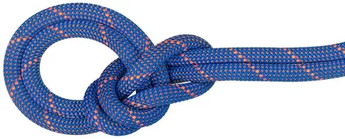 Mammut