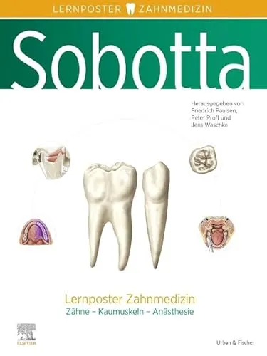 Sobotta Lernposter Zahnmedizin - Zahnmedizin Poster mit klaren Illustrationen, ideal für Studierende und professionelle Zahnärzte, um anatomische Zusammenhänge anschaulich zu lernen.