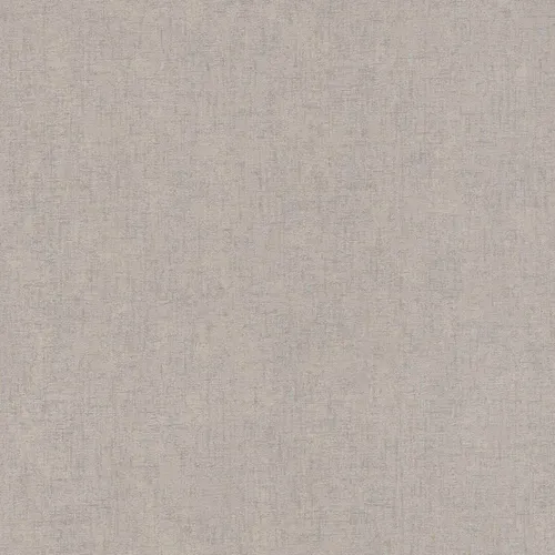 A.S. Création Vliestapete Grau Glitzer Beton Optik 386151 (3,21€/1qm)