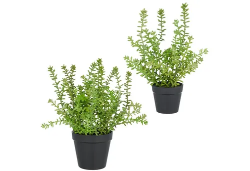 Kunstpflanze Sedum acre Yellow Queen, Höhe 32 cm - Set aus 2 Größen - Kunstpflanzen für jeden Raum, pflegeleicht und lebensecht. Set aus 2 Größen (27 cm und 32 cm) bringt frischen, natürlichen Akzent in dein Zuhause oder Büro.