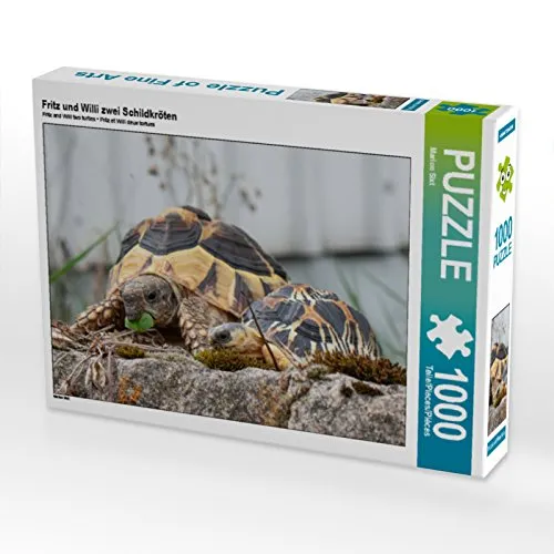 CALVENDO Puzzle Fritz und Willi - 1000 Teile Schildkröten-Puzzle - Klassisches Puzzle mit 1000 Teilen, zeigt die einzigartigen Schildkröten von Marion Sixt. Ideal für Tierliebhaber und Puzzle-Fans, Größe 64 x 48 cm.
