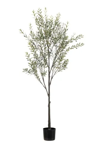 artplants Kunstpflanze Olive LONIRB, 175cm mit Früchten