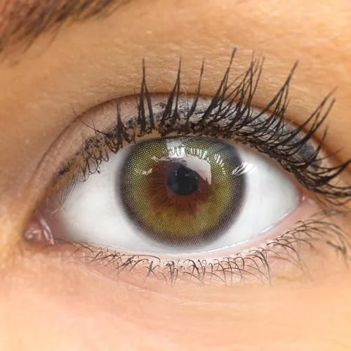 GLAMLENS Kontaktlinsen farbig 'Olive Green' ohne Stärke farbige grüne Monatslinsen weiche Linsen soft Hydrogel 2 Stück Farblinsen + Linsenbehälter 0.0 Dioptrien natürliche Serie Farben