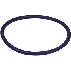 O-Ring zu Gasanschlußflanschen