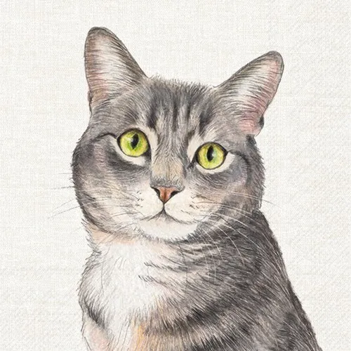 Servietten Farm Cat Einzelne Katze Tiere Haustiere Schmusen Bauernhof 33x33cm 20