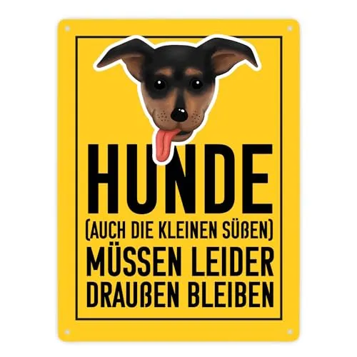 Hunde (auch die kleinen Süßen) müssen draußen bleiben Metallschild XXL in 28x38 cm witziges Blechschild für Ladenbetreiber die kleine Hunde mögen sie aber trotzdem nicht im Laden