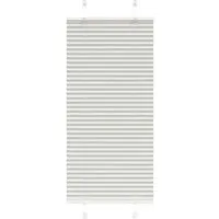 vidaXL Plissee Hellgrau 60x100 cm – Eleganter Sichtschutz - Dieses stilvolle Plissee aus 100 % Polyester bietet optimalen Sichtschutz und Blendschutz. Langlebig und pflegeleicht, lässt es sich einfach montieren – ideal für jeden Raum!