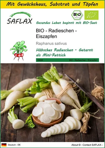SAFLAX Gemüsesamen SAFLAX - Anzuchtset - BIO - Radieschen - Eiszapfen