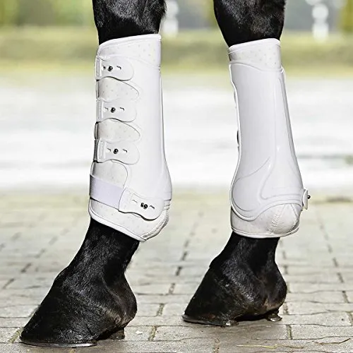 BUSSE Gamaschen Dressage-Pro - Anatomisch geformte Dressurgamaschen mit stabiler Hartschale für optimalen Schlagschutz, maximale Luftzirkulation und einfache Anpassung durch vier Elastikanzüge. Ideal für Pferde in Dressurtraining.