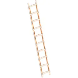 Layher 1046 Holzdachdeckerleiter 10 Sprossen - Leiter für Dachdeckerarbeiten, mit geschweiften Sprossen für optimale Sicherheit und bis zu 75° Dachneigung einsetzbar.