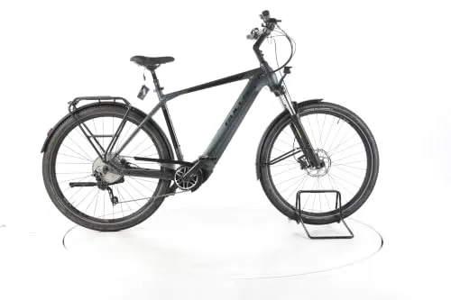 Bulls E-Bike Iconic EVO 1 Herren 29 Zoll