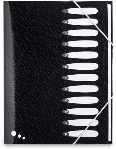 ELBA 400068817 Ordnungsmappe Art für DIN A4 Dokumente12 Fächern Gummizug schwarz