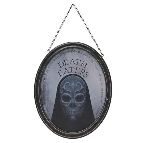 Harry Potter Dark Arts verspiegeltes Schild – Todesser