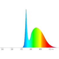 Radium Leuchtmittel von Radium