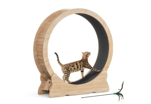 Mondeer Tier-Intelligenzspielzeug Laufband für Katzen - Naturholz - Katzenlaufrad für drinnen: Fördert Bewegung und Spielspaß, ideal für Katzen aller Größen. Geräuscharm und stabil mit Sicherheitsschloss. Maße: 110 x 117 x 36 cm, Innendurchmesser 100 cm.