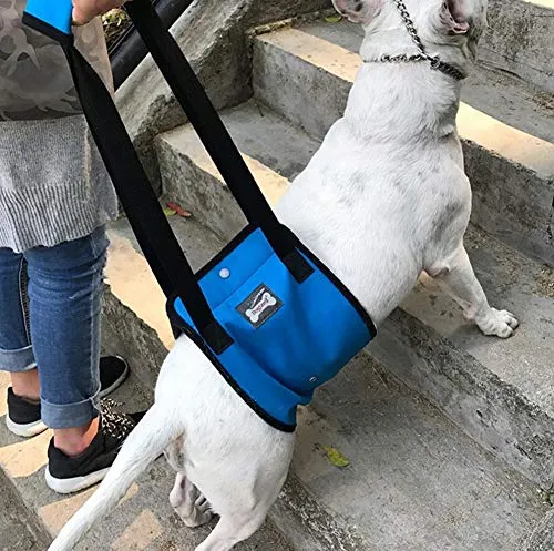 Diyafas Hundelift Harness Tragehilfe Hebehilfe Rehabilitation Geschirr mit Griff für Hunde Verletzungen und Arthritis