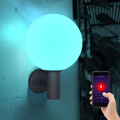 Außenleuchte Wandleuchte Gartenleuchte mit App- und Sprachsteuerung