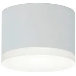 Deckenlampe 4022671101615 von Helestra