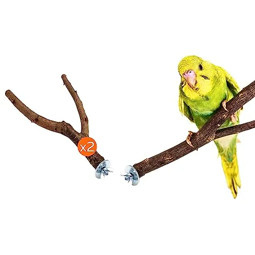 Vogelgaleria® 2er Pack Y-Sitzstangen für Wellensittich Natur Sitzstangen Vogel Sitzstange Wellensittich Zubehör