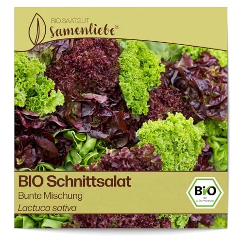 Samenliebe BIO Schnittsalat Samen Bunte Mischung Kopfsalat großer Salat bunt 500 Samen samenfestes Gemüse Saatgut für Gewächshaus Freiland und Balkon BIO Gemüsesamen