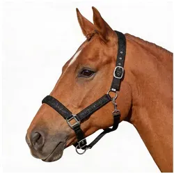 Pferdelinis Halfter Halfter Pferde Glitzer, gepolstert, Größe Pony, Cob, Warmblut, Shetty, Glitzer schwarz pony