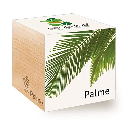Feel Green Ecocube Palme, Nachhaltige Geschenkidee (100% Eco Friendly), Grow Your Own/Anzuchtset, Pflanzen Im Holzwürfel, Made in Austria
