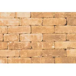 Diephaus Mauerstein Collo Sandstein 28 x 21 x 7 cm von Diephaus