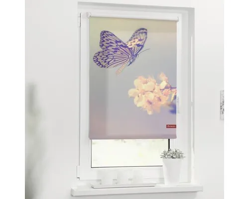 Klemmrollo Lichtblick Schmetterlinge 45x150 cm - Jalousien & Rollos, ohne Bohren montierbar und mit floralem Design, ideal für Kinderzimmer und Wohnräume.