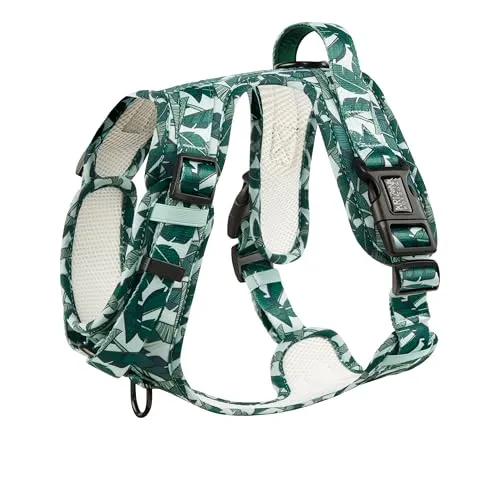 Hunde-Griffgeschirr Neopren | Arizona Hotdogs Comfy Griffgeschirr Amazonia | Grün (S) - Weiteres Autozubehör, bequemes Y-Form Geschirr für optimale Druckverteilung und Kontrolle, ideal für lebhafte Hunde.