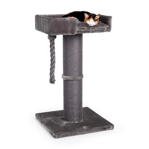 Katzenmöbel von Canadian Cat Company