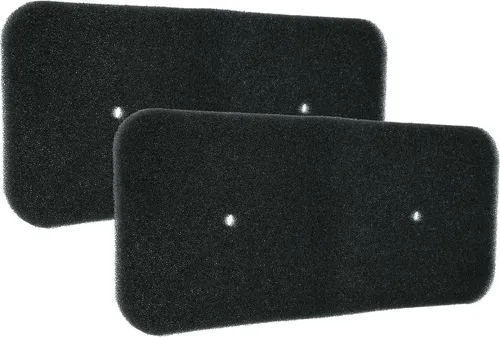 vhbw 2x Schwammfilter kompatibel mit Hoover DYC 9713AX 31100492, DYC 9913AX-3 31100501, DYC 9813AX-S 31100529, DYC 9913AX-8 31100489 Wäschetrockner