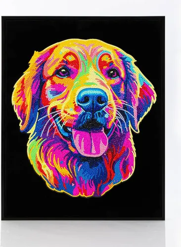 DIAMOND DOTZ - Diamond Painting Neon Golden Retriever - Basteln mit hochwertigen Strasssteinen und 13-Facettenschliff für extra Glanz. Neonfarben auf schwarzem Hintergrund sorgen für einen einzigartigen Look und kreative Entfaltung.