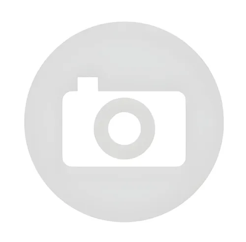 Schelle Endschalldämpfer Polini 60mm