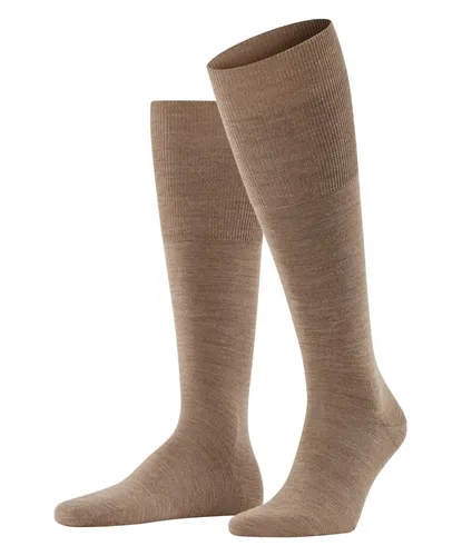 Socken Braun von FALKE