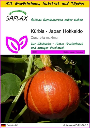 SAFLAX Gemüsesamen SAFLAX - Anzuchtset - Kürbis - Japan Hokkaido