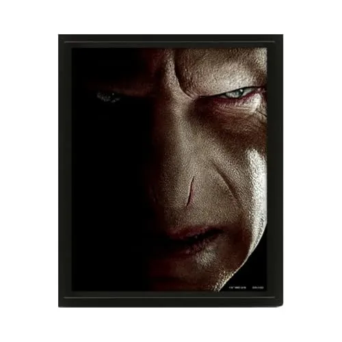 Pyramid International Europe Harry Potter 3D Lenticular Poster (Harry vs Voldemort) 25cm x 20cm x 1.3cm im Rahmen - Offizielles Lizenzprodukt