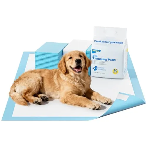 PIPI Matten für Hunde von Barpor