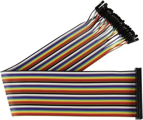 Joy-it RB-CB2-030 Jumper-Kabel Raspberry Pi [40x Drahtbrücken-Buchse - 40x Drahtbrücken-Buchse] 30.00cm Bunt inkl. Pins