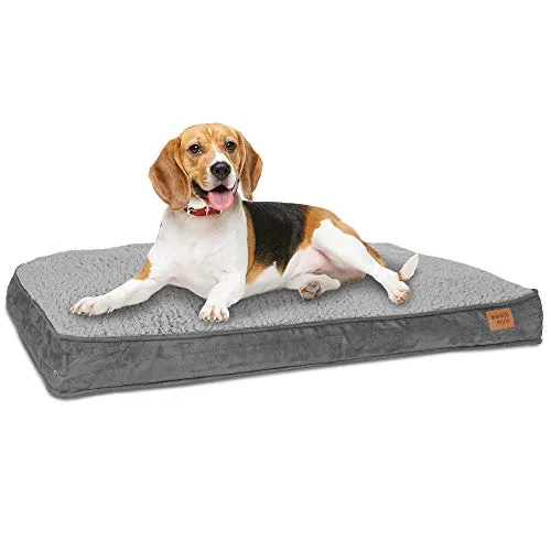 ib style Dreams Hundematte - Waschbares Hundekissen für mittelgroße Hunde - Bequeme Hundematte aus strapazierfähigem Velourslederimitat mit abnehmbarem Bezug. Anti-Rutsch-Beschichtung sorgt für sicheren Halt. Ideal für Beagle und Cocker Spaniel. Pflegeleicht und langlebig!