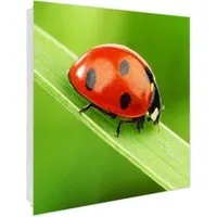 Banjado Großer Schlüsselkasten aus Glas 30x30cm mit Marienkäfer-Motiv